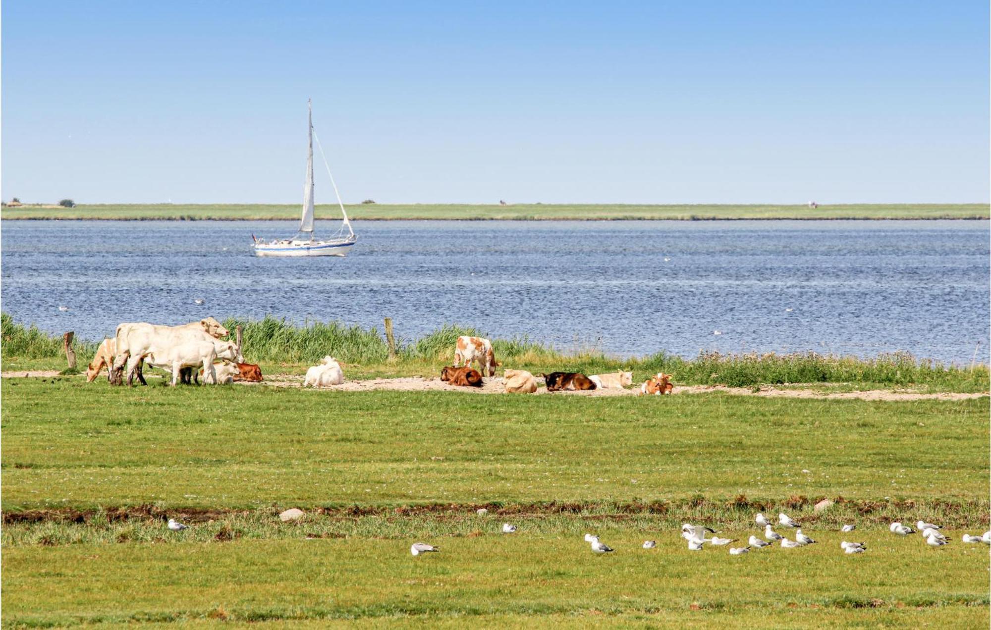 Vila Bi De Mar Olpenitz Exteriér fotografie